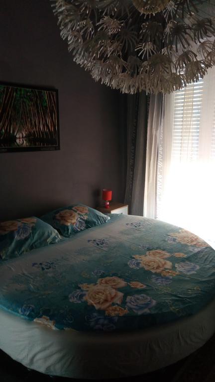 B&B Il Pisolo Alba  Extérieur photo